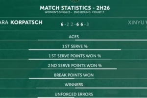 王欣瑜本場比賽技術統(tǒng)計：非受迫性失誤65-33、制勝分34-18