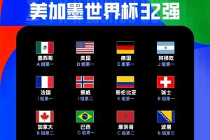各足聯(lián)晉級情況：歐足聯(lián)13隊 南美足聯(lián)5隊，亞足聯(lián)2隊 非足聯(lián)9隊