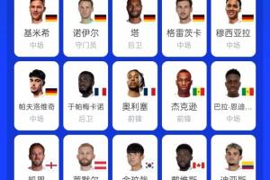 苦澀！拜仁17人出戰本屆世界杯，僅韓國球員金玟哉未能出線