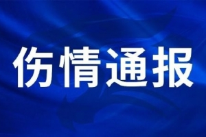 三鎮球員劉奕鳴在日常對抗訓練中手掌骨折，手術已順利完成