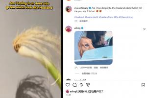 爆火！網友用“一根蔥”cos哈蘭德，哈蘭德本人回復，超600萬點贊