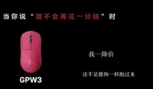 羅技侮辱性廣告涉事公司被罰20萬 曾把用戶比作狗