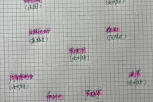 楊晨評世界杯最佳陣：梅西在列，哈蘭德姆巴佩亞馬爾領銜進攻陣