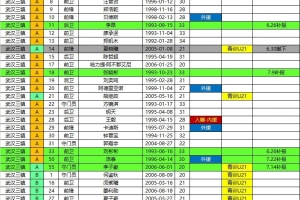 三鎮(zhèn)、海牛、鐵人、銅梁龍2026中超聯(lián)賽報名名單（夏窗后）