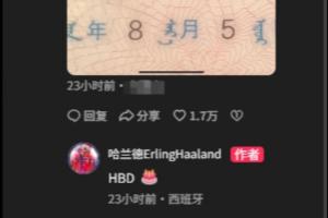 哈蘭德中文社媒曬度假照片 并在評論區祝福粉絲生日快樂