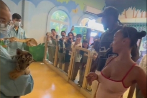 有愛瞬間！杰倫·格林來到動(dòng)物園 與小老虎手拉手親密互動(dòng)
