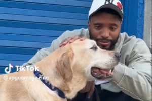 紐約市的王子！大橋牽自己的寵物犬逛街 小狗桑尼表情愉悅