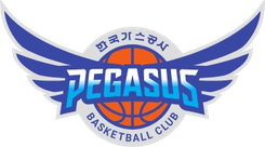 大邱石油公社飛馬首發陣容